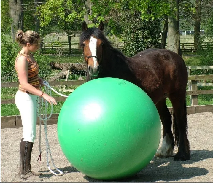 Factory Wholesale Hot Sale Customized Logo Anti-burst Design Made to Last Horse Toy High Quality Training