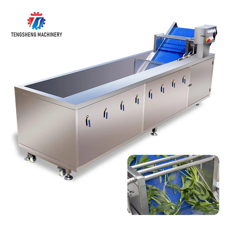 Large-scale leaf vegetables cleaning machine multifunctional fruit vegetable cleaner automatic citrus fruit washing machine