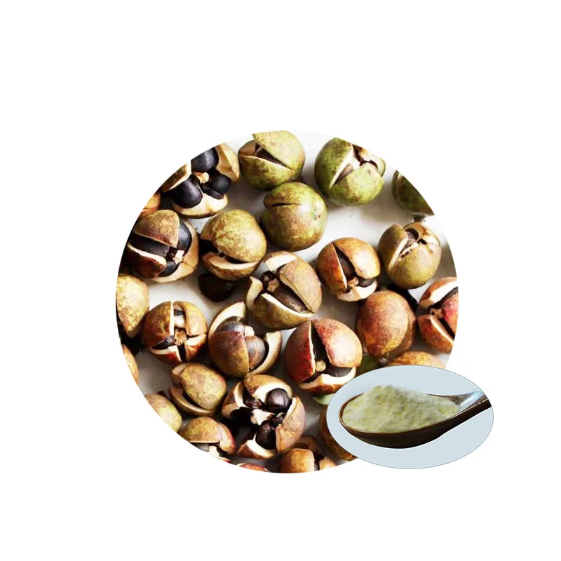 100% Natural Plant Extract Camellia Seed Oil Extract and Tea Saponin