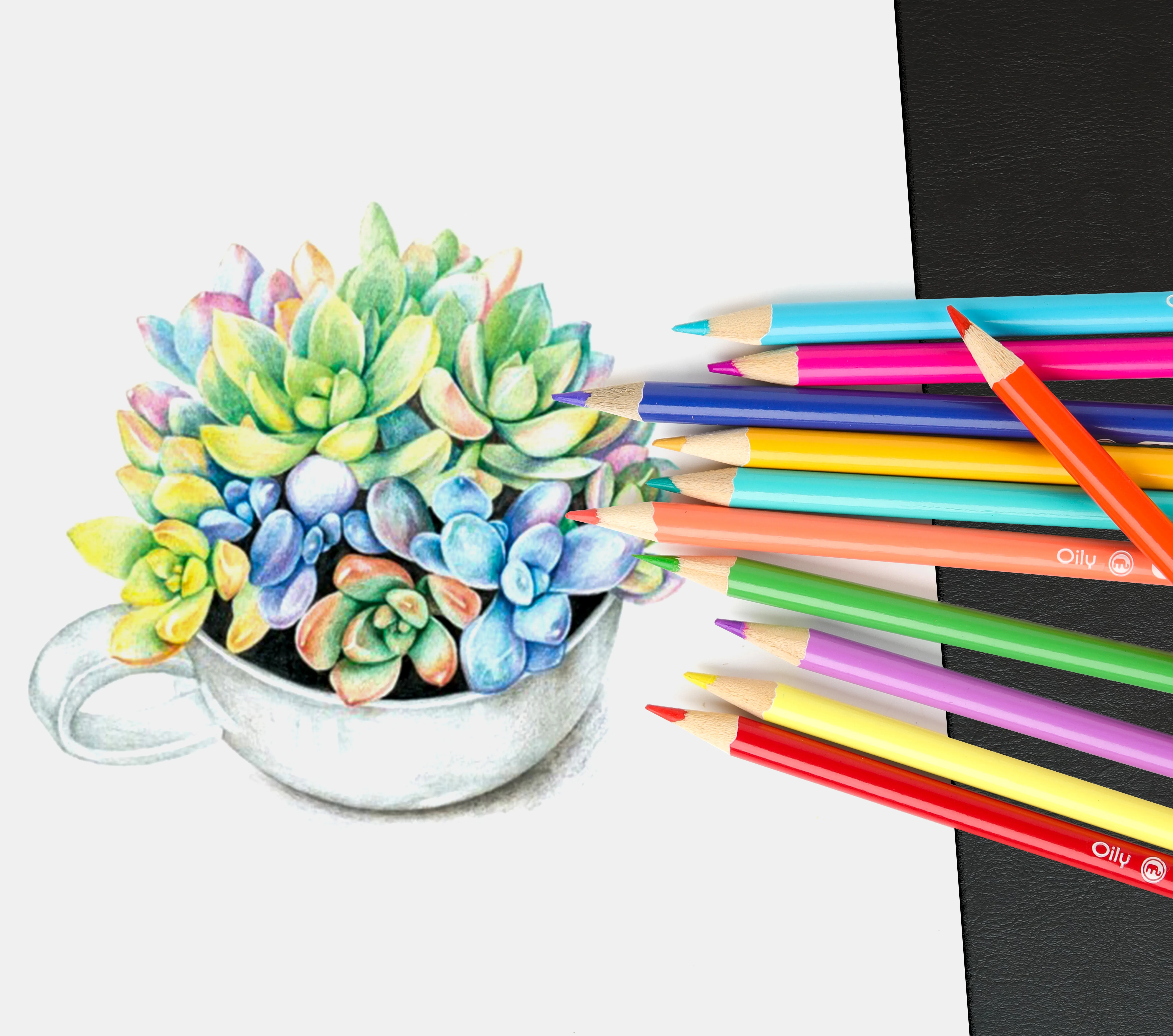 Gxin K002B12 12 Colors custom Colored Pencil Professional Drawing Sketch Pencil Set For Students School Art Supplies