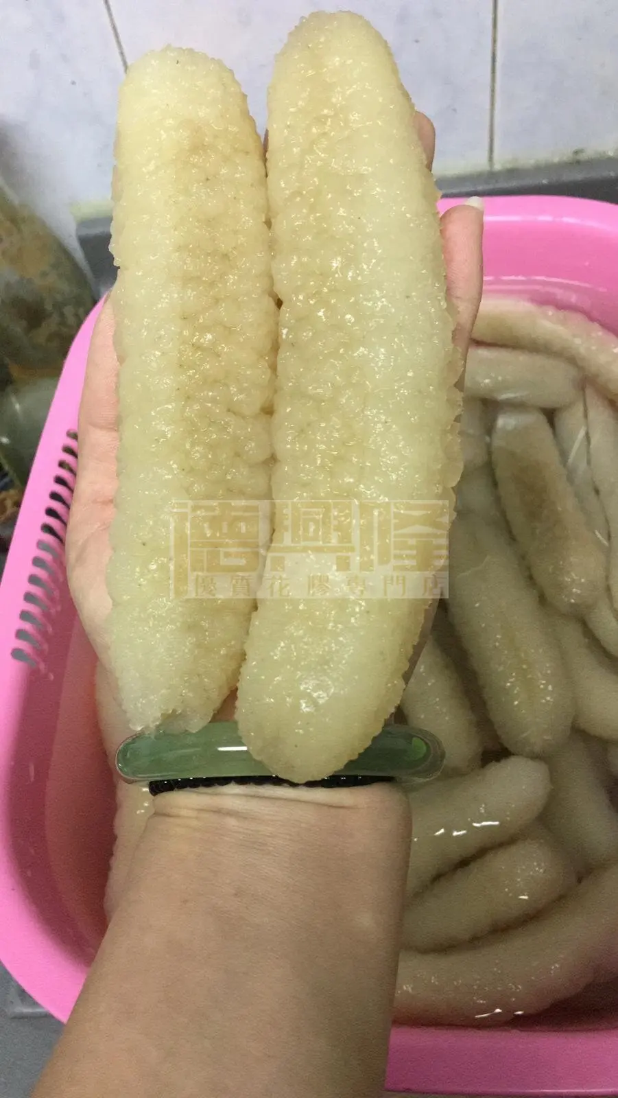 300G Cool Dry Space Storage Sea Cucumber Freeze Dryer Bottle Dried Sea Cucumber Wholesale