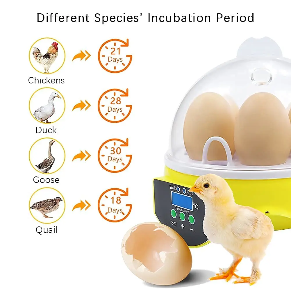 Mini Automatic Egg Hatchery Machine 7 Hatching Eggs Incubators for Chicken Duck Pigeon Quail Egg Incubator for sale