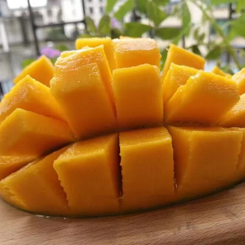 Sweet Juicy High Quality Wholesale Fresh Mango Fruit Hot Sale Seasonal Fruit from China