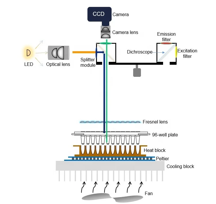 Wayeal GT-96 Real Time qPCR System Machine Quantitative Polymerase Chain Reaction Nucleic Acid Detection 96 Wells QPCR Machine