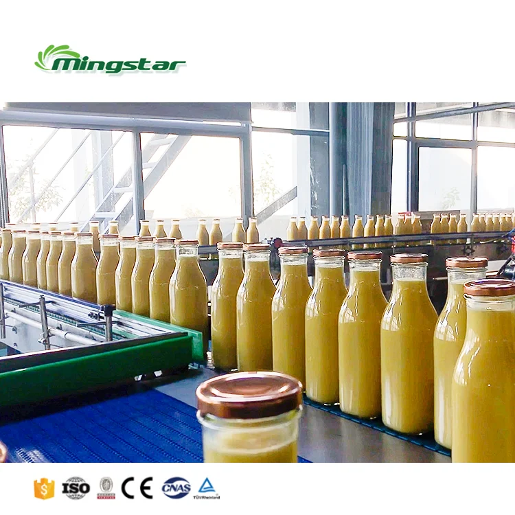 Полностью автоматическая машина для розлива пластиковых бутылок 14000BPH для линии производства соков и напитков