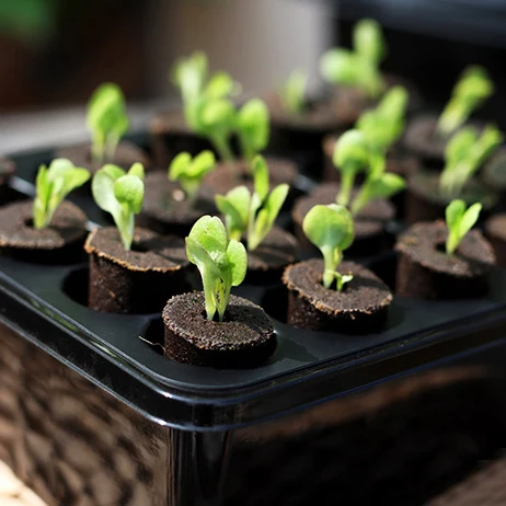 Indoor Plant Pods Soilless Hydroponics Smart Soil Grow Sponges Plugs Coco Peats Block For Planting Seedling Basket