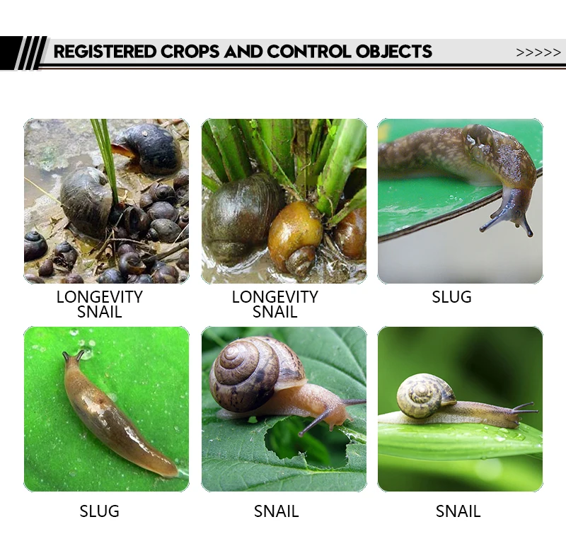  50% snail amine ethanolamine salt WP to kill snails Agricultural pesticides and insecticides