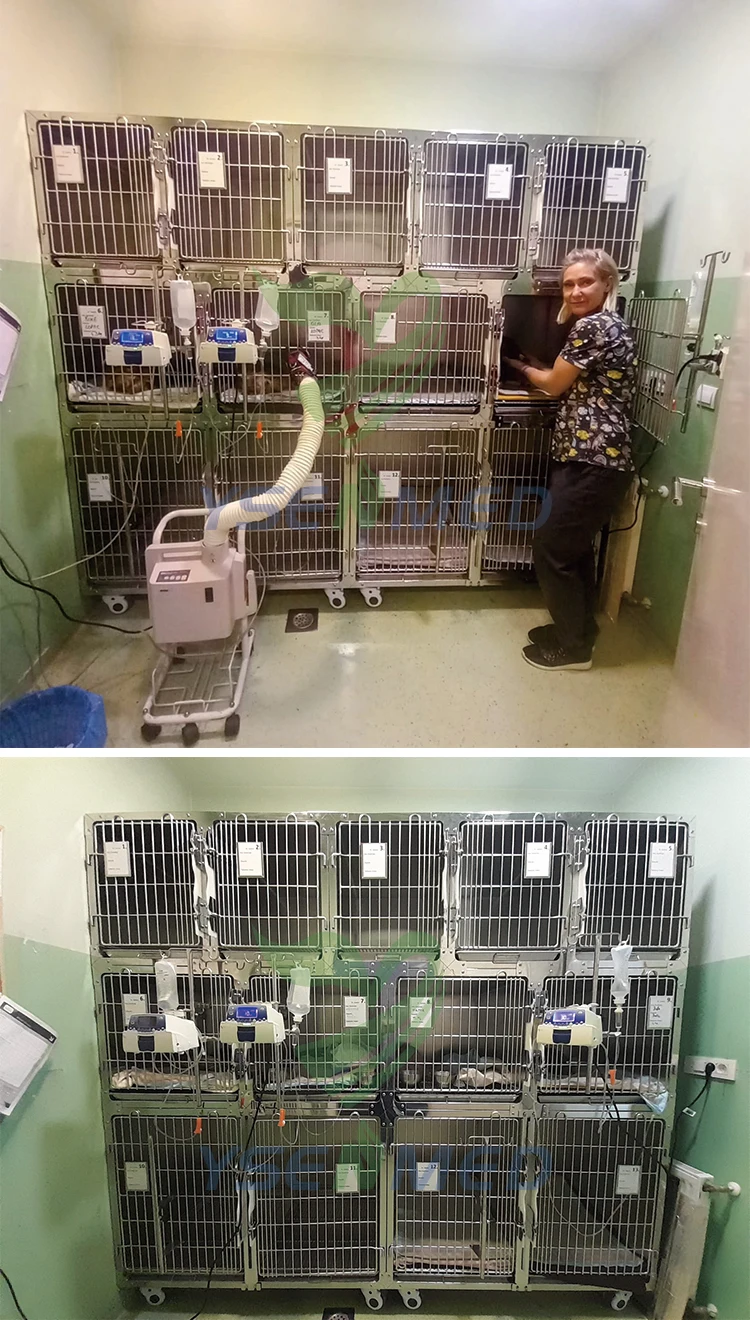 Medical Equipment 304 Stainless Steel Pet Cage animal cages veterinary combination cages for pet clinic