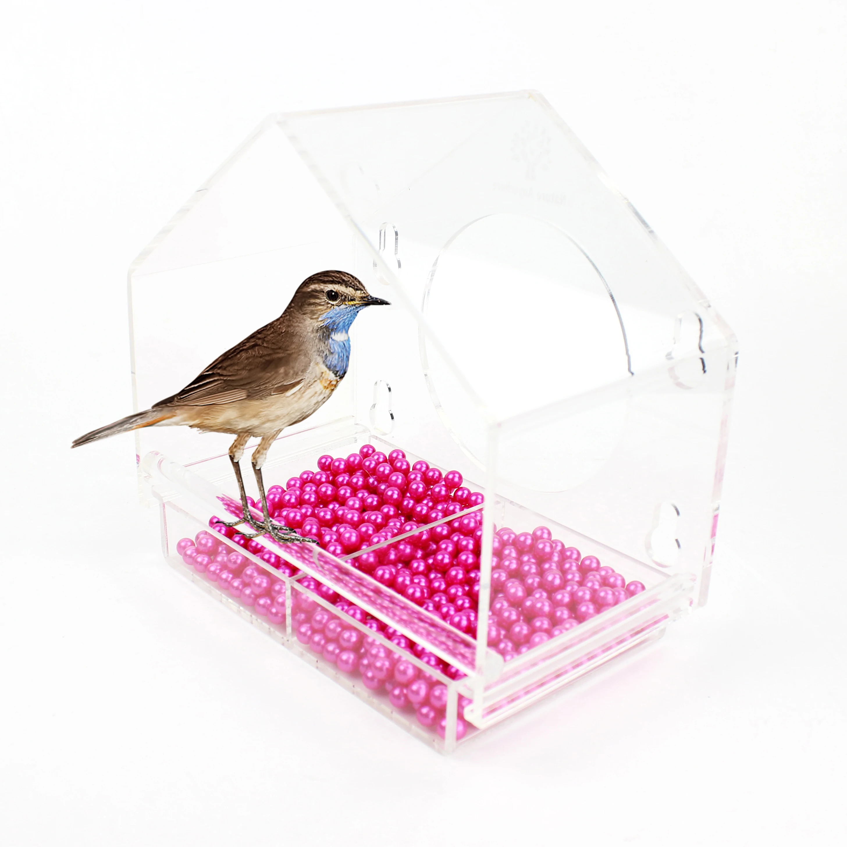 Removable Tray Transparent Acrylic Feeder For Bird Crystal Window Bird Feeder PMMA Clear Stay Strip