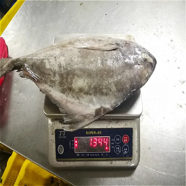 
Indonesia Seafood Fish Frozen Black Pomfret 