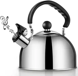 Умный кухонный чайник со свистком, 2 л, 3 л, с нейлоновой ручкой и ручкой из нержавеющей стали