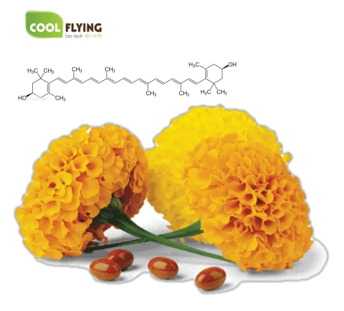 
90% Lutein powder for protected eyesight Marigold flower Extract Marigold Extract 