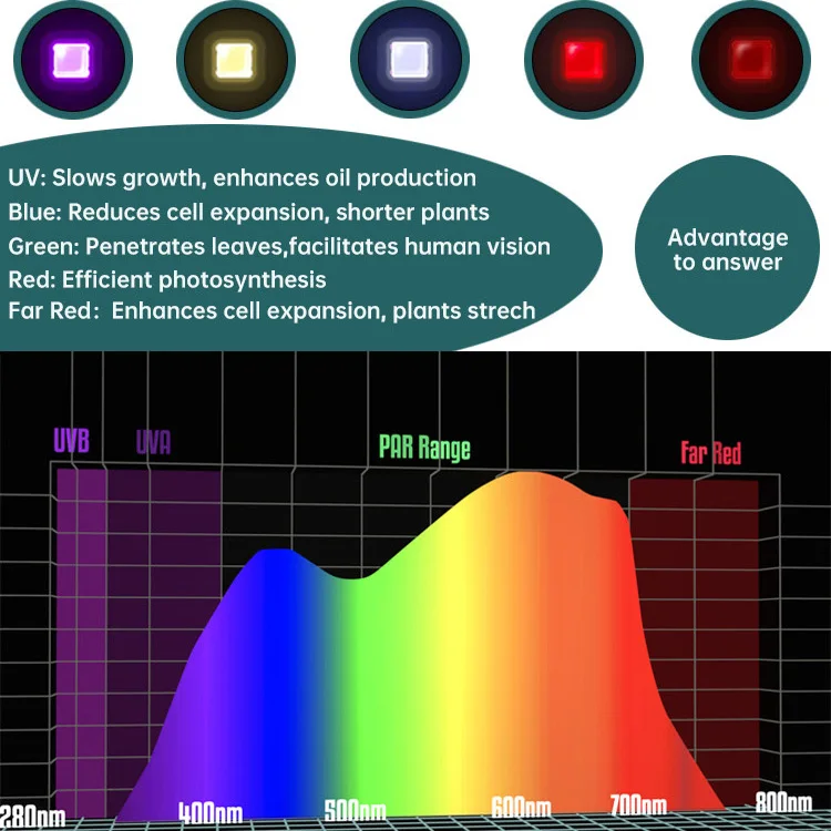 C Archibald Ar4000 Pro Samsung Lm301B High Optic Adjustable Microgre Yield 480W Led Grow Light Hydroponic
