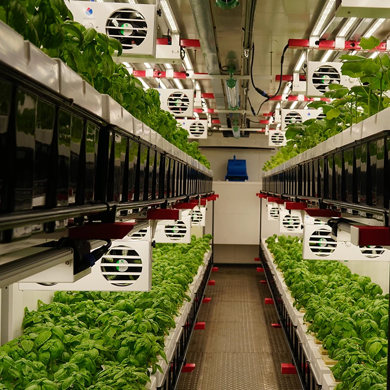 Medical Plants Growing Box 40HQ Container Farming Vertical Farm Equipment