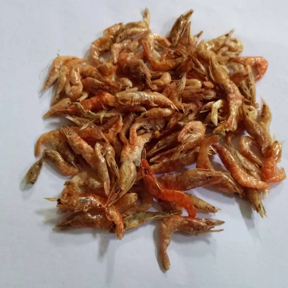 High Protein dried shrimp reptiles food