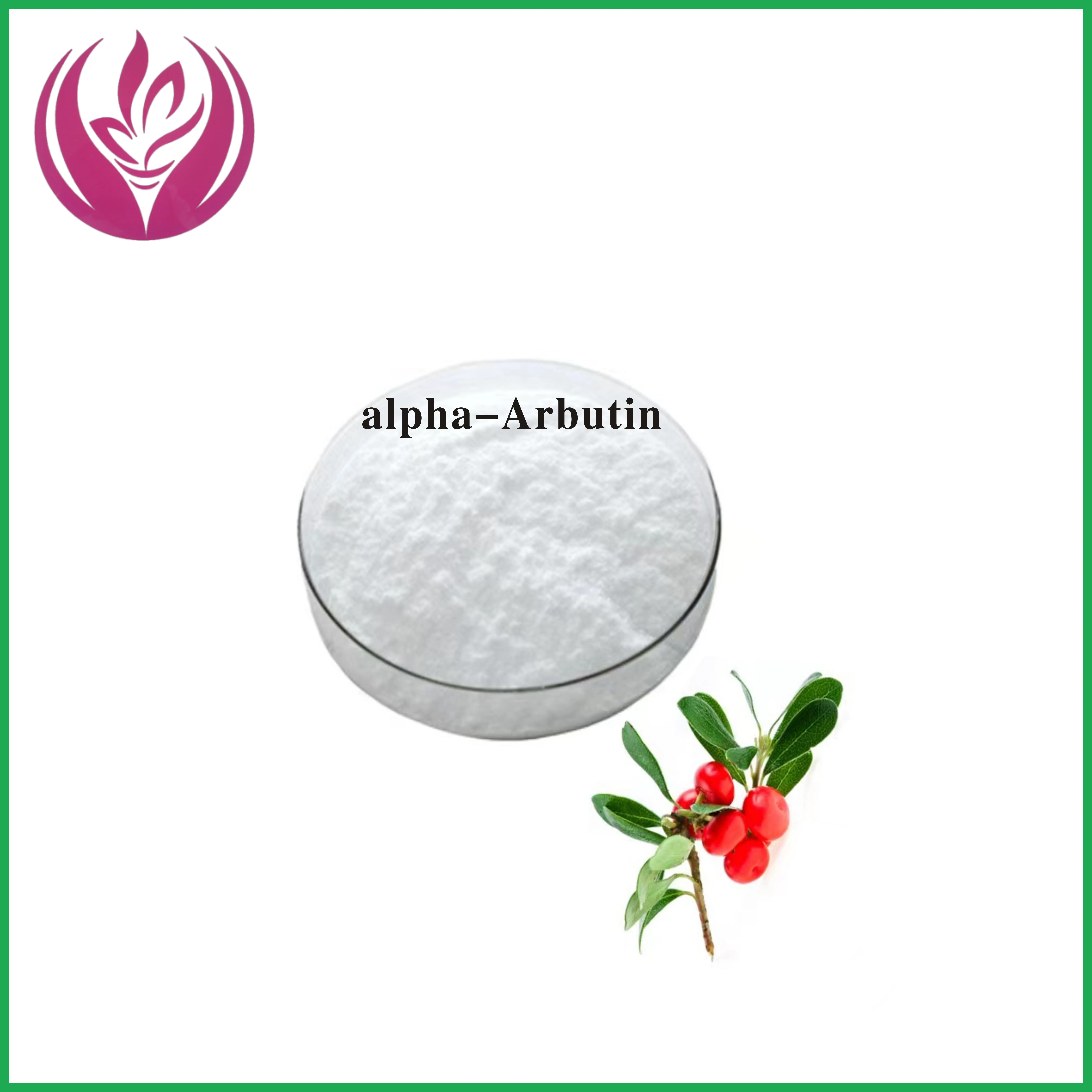 High quality 100% pure Bearberry Extract Powder Cosmetic grade skin whitening 99% Alpha Arbutin powder CAS 84380-01-8