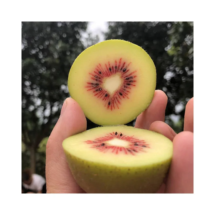 2021 Премиум Золотая ферма киви 1 кг, цены на фрукты киви
