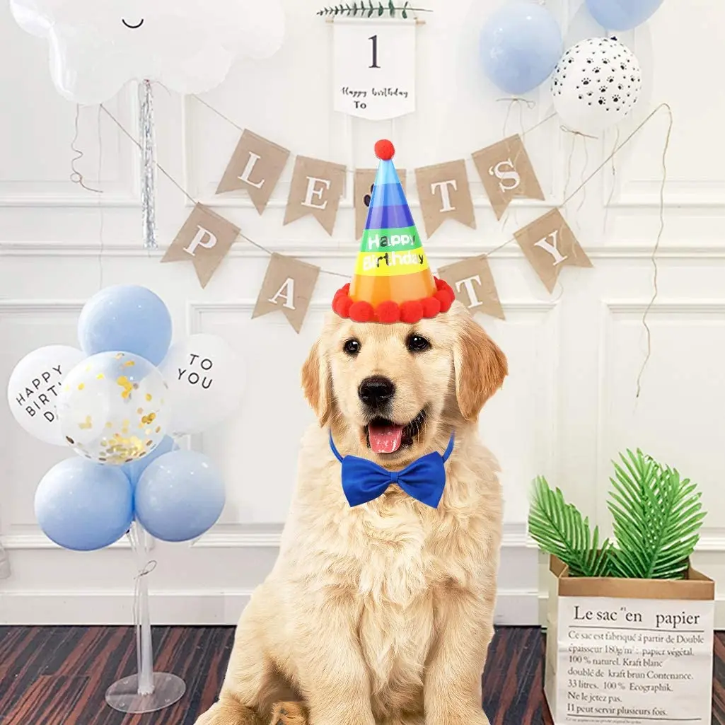 Dog Party Supplies Paper Birthday Hat with Bow Tie Necktie Collar Cone Hats