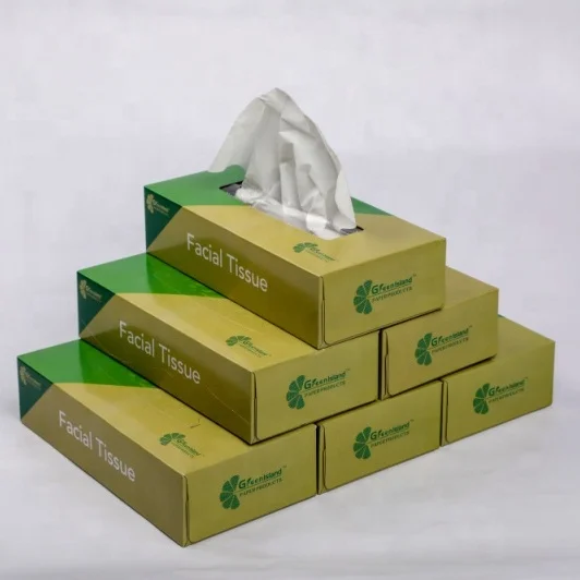 Greenisland hygiene facial tissue soft absorting box tissue OEM good quality