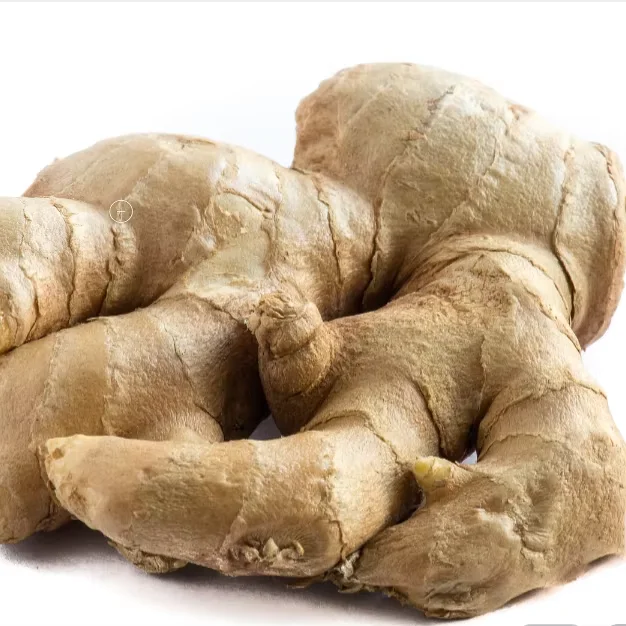 China High Grade High Quality and Lower Price High Ginger from China Factory Direct Sales