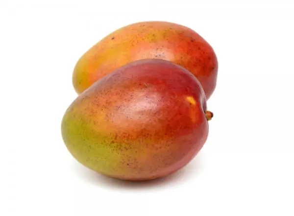 
High Quality Fresh Fruit Keitt Mango 
