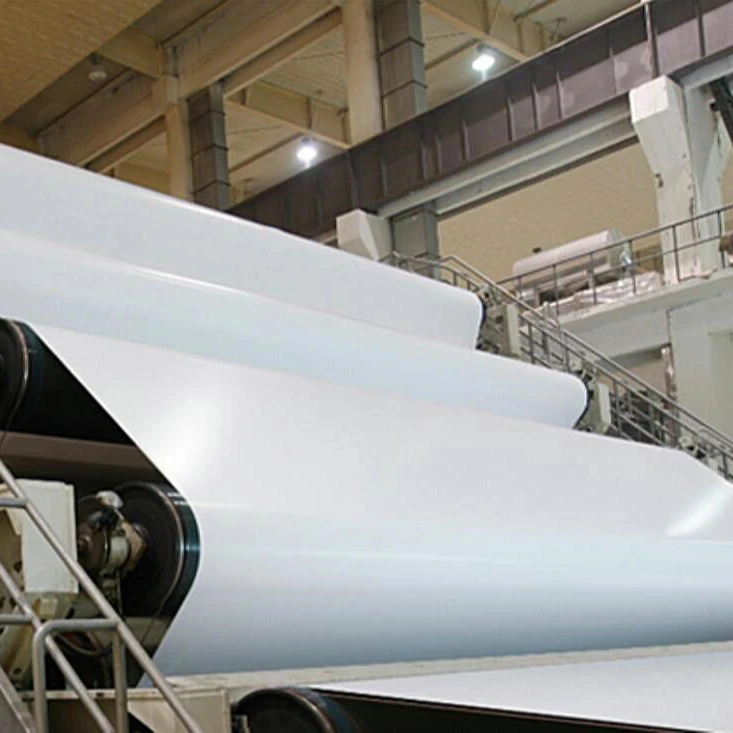 Bristol  Paper Board