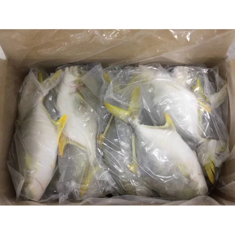 
Promotional Good Quality IQF Frozen Golden Pompano Pomfret Fish Seafood for Restaurant 