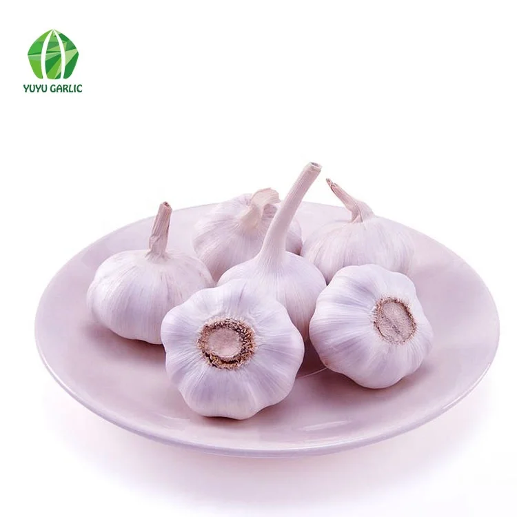 
Wholesale Chinese Natural Bulk Fresh White Garlic Price 