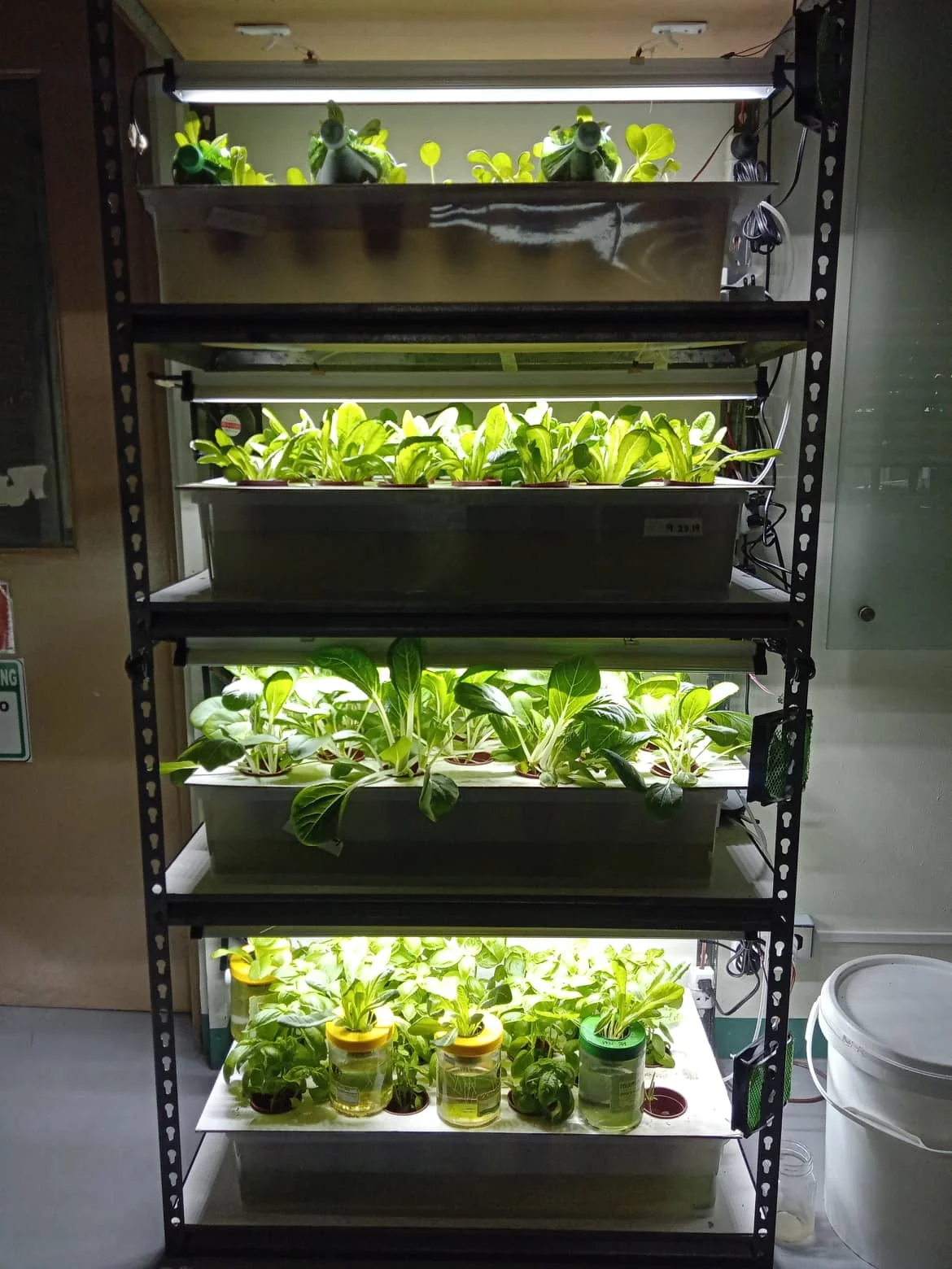 Лучшая гидро-лампа для выращивания салата microgreens светодиодная лампа полного спектра комнатных растений в саду
