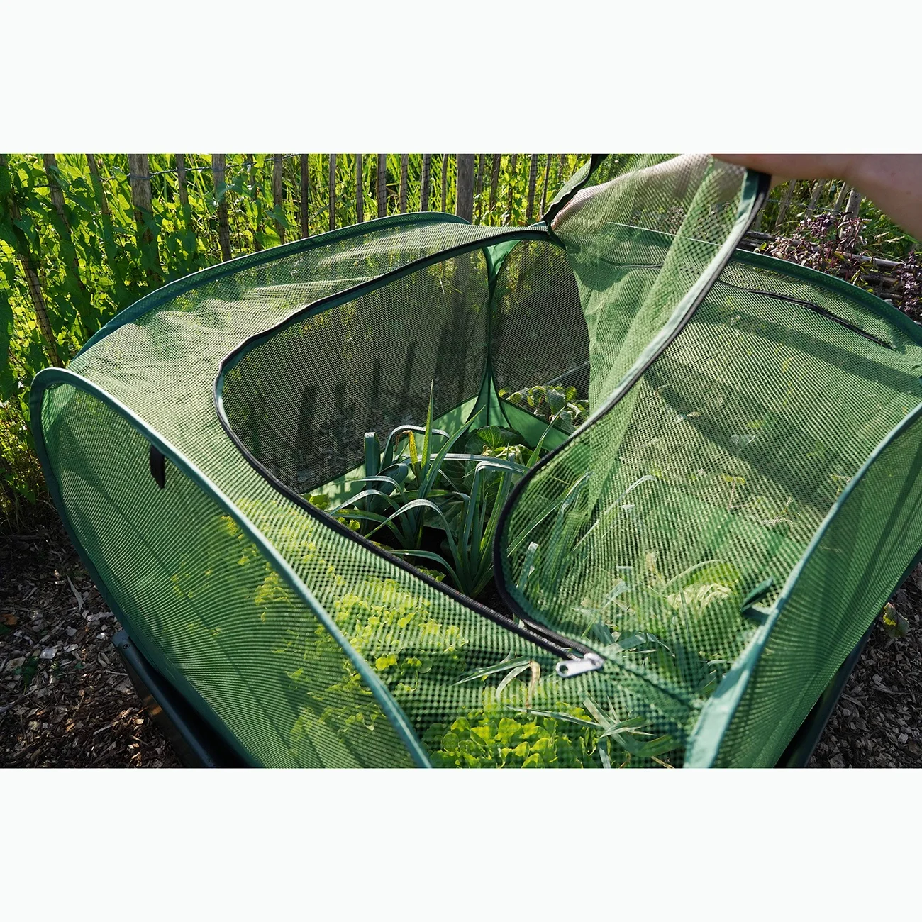 Wholesale Price High End Customize Tall Crop Cage Pest Guard Cover for Vegetables Fruits Durable Plant Garden Net with 4 Stakes