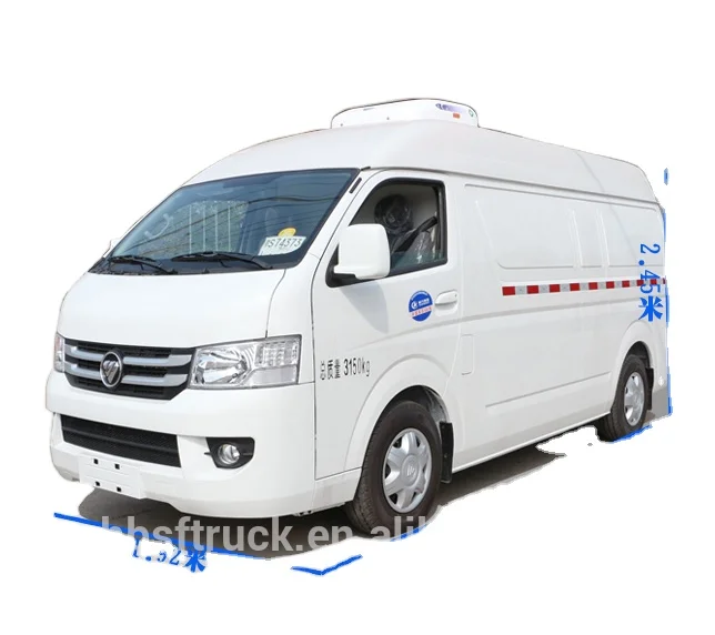 Hubei Shunfeng Summer Mini New Electric Refrigerator Car