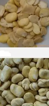 bean product processing pea peeling machine