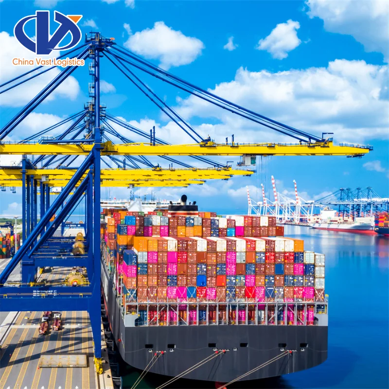 Logistics Company International Shipping Top 10 Freight Forwarders from China to Australia top selling product  sea shipping
