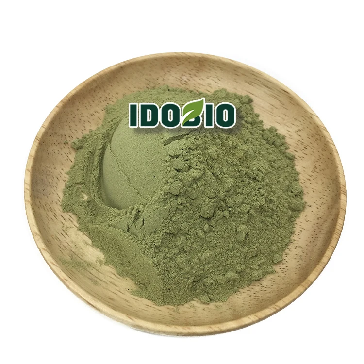 Idobio Moringa лист чая OEM капсулы экстракт листьев