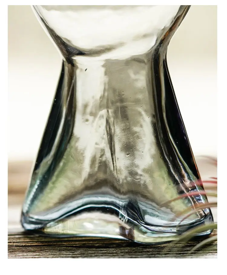 Hot Sell Modern Farmhouse Decor Creative Design Glass Vasen Tall Hydroponics Long Face Vase Livingroom Decoration