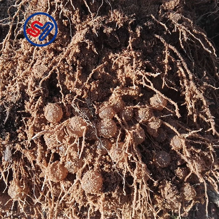 Hydrogel Powder de Potassium Polyacrylate Super Absorbent Polymer retainer water gel hydrogel for agriculture  plant