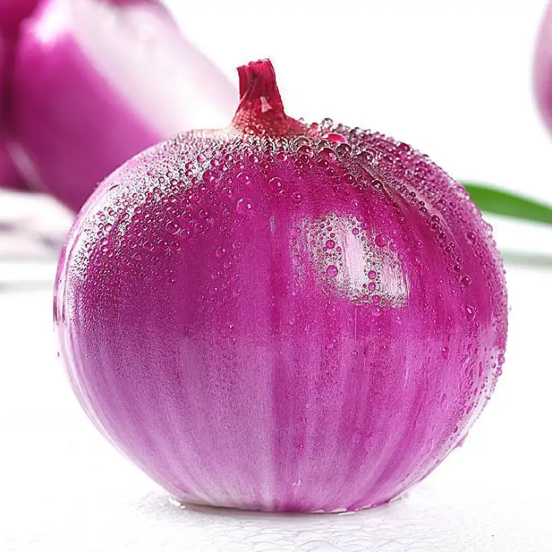 Chinese onion supplier fresh vegetables red Asian shallots onion price in china for export