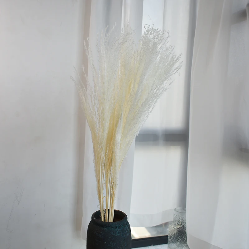 Natural Pampas Grass Dried Flowers Wedding Decoration Small Pampa Grass Natural Pampas Grass  decorative for outdoor decor