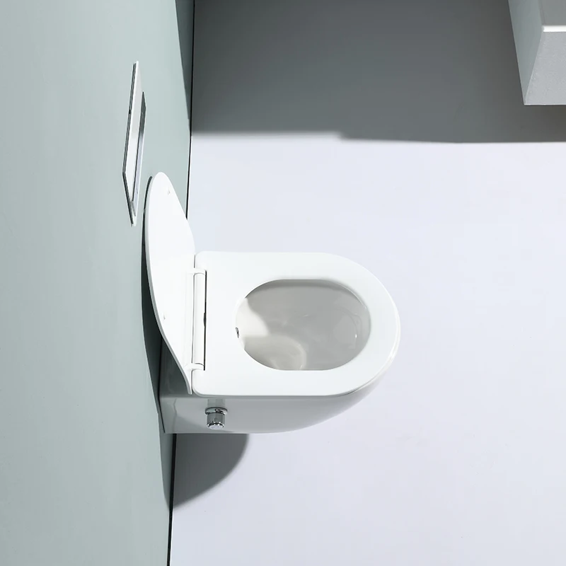 Wall Hung Toilet Concealed Cistern Push Button Rimless Wall Mounted Toilets With Bidet