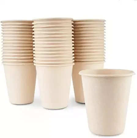Customized Bio Biodegradable Plastic Cups Compostable Sugarcane Bagasse Coffee Cup with Lids