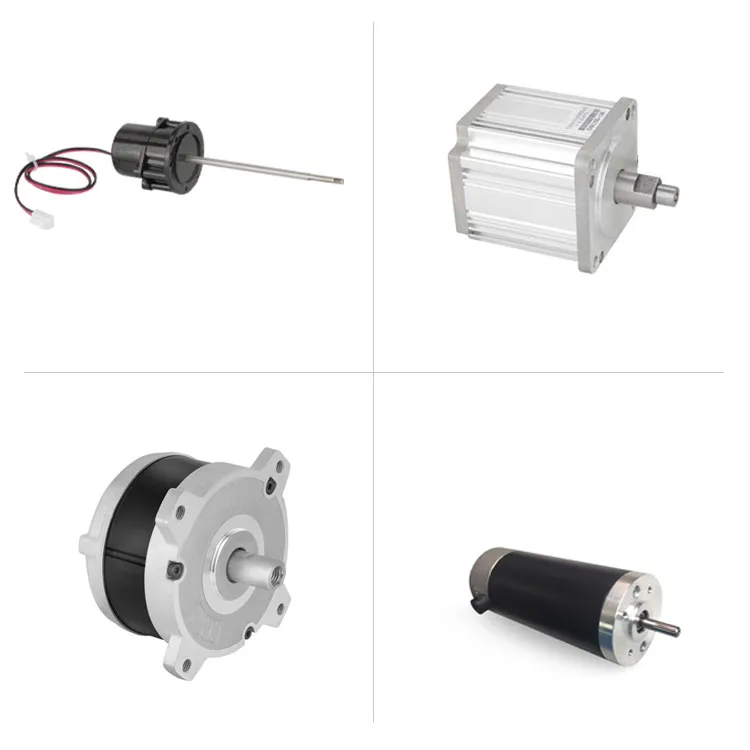 OEM factory for 220V brushless dc motor