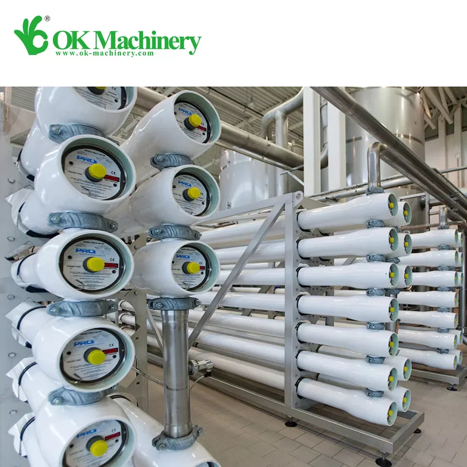Large Speed Water Treatment System / Ro Water Desalination Line / Well Water Treatment Equipment