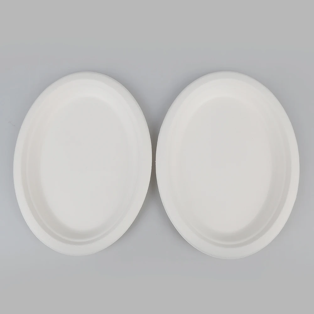 Biodegradable Disposable Sugarcane Bagasse oval