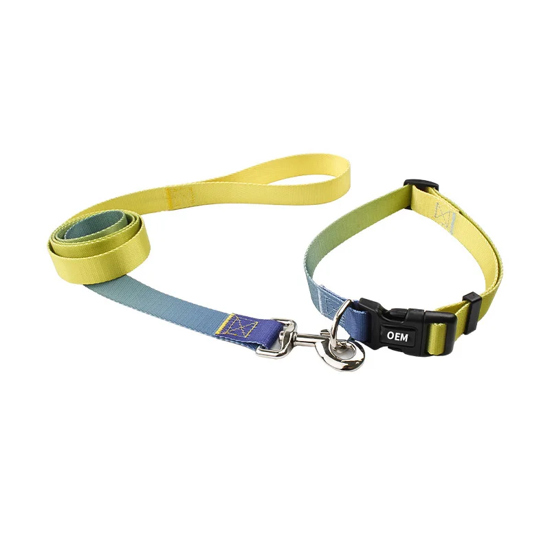 
Inaffordable Sublimation Heat Transfer Gradient Collars Custom Colors for Elegant and Comfortable Pet Leather Collars 