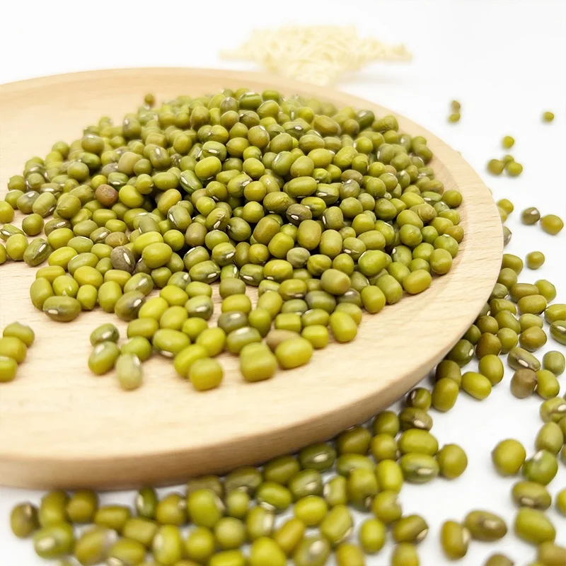 Wholesale Small Size 2.6mm-3.5mm High Quality Green Vigna Mung Beans