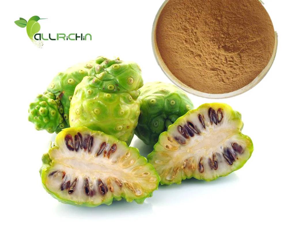 Pure Noni Leaf Juice Extract Powder/Noni Leaves With Competitive Price