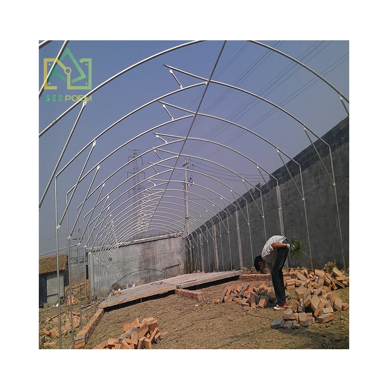 customized Hot Selling Single Span Solar Pe Film Covering Greenhouse Israel For Agriculture Low Cost Tunnel