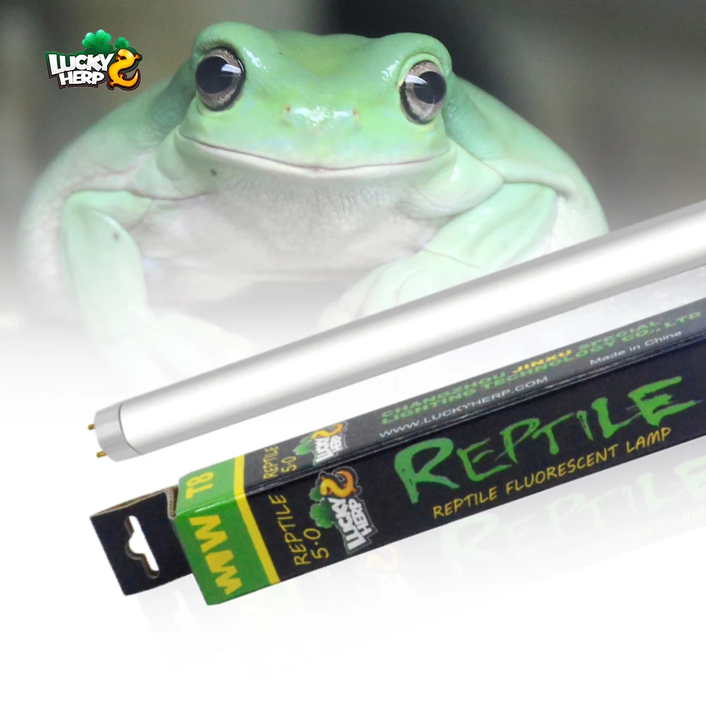 Factory Price Natural Light T8 Energy Saving UVB Fluorescent Lamp Reptile UVB 5.0 10.0 15.0 Tube
