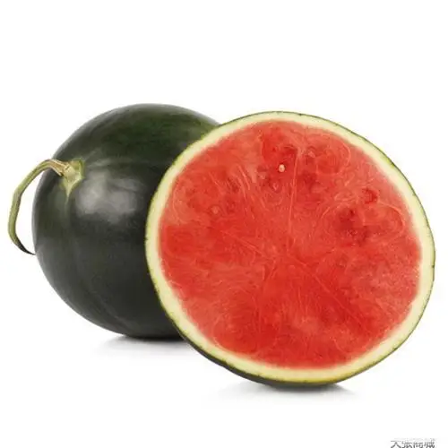 
Hybrid Cheap wholesale price fresh seedless watermelon seed for sale 