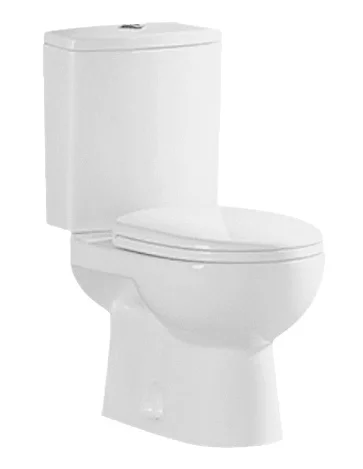 Китайская гигиеническая посуда с двойным сливом, экономия воды, белая керамическая ванная комната, уборка, два туалета с медленным закрытием крышки сиденья